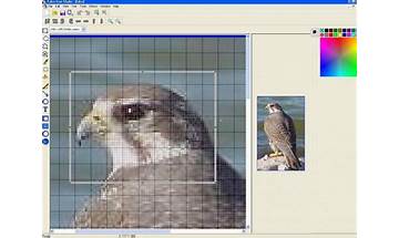 Falco Icon Editor Studio for Windows - Download it from Habererciyes for free